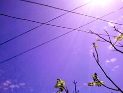 Can It Be You, Aavantika2.jpg